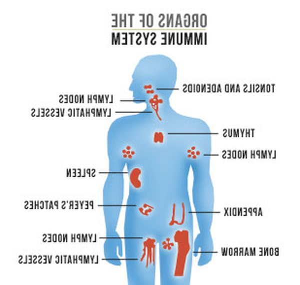 Which Is An Effect Of A Compromised Immune System How To Get   Real 